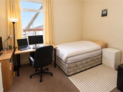 Picture 12